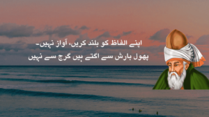 Quotes Of Rumi in Urdu